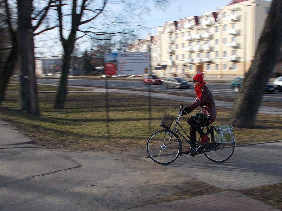 Elbląska rowerzystka i jej juczny mieszczuch :)