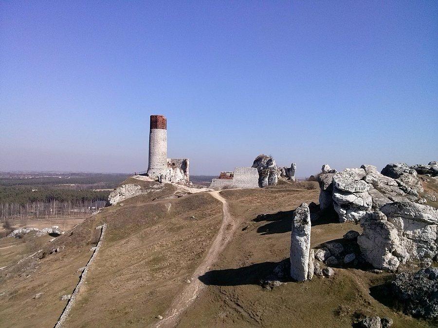 Zamek w Olsztynie
