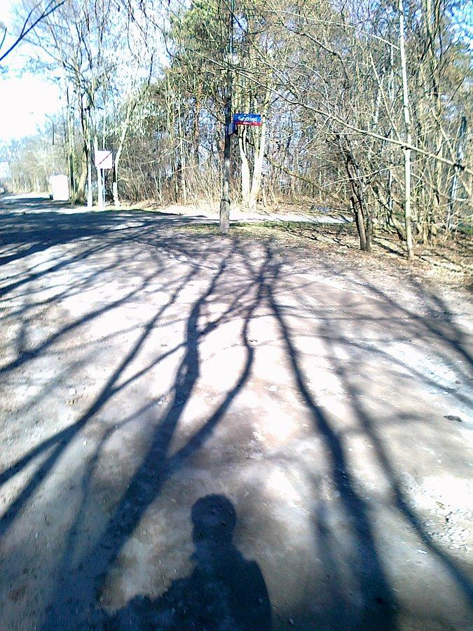 Słoneczny dzień