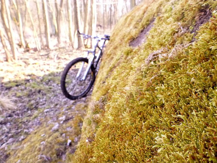 Jakiś bunkier 53.603852, 14.629582