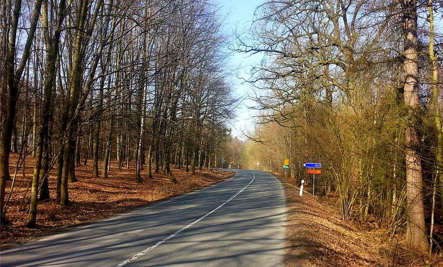 Jadę w lewo, do Bialej