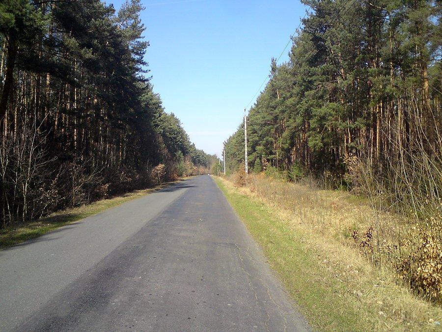 Dobrzyń - Wójcice