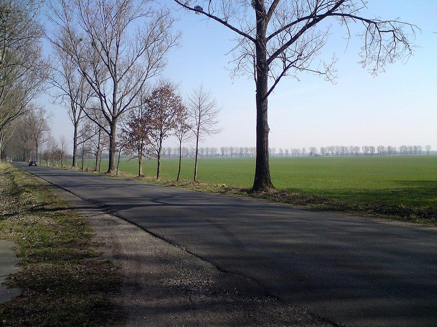 Do Mąkoszyc