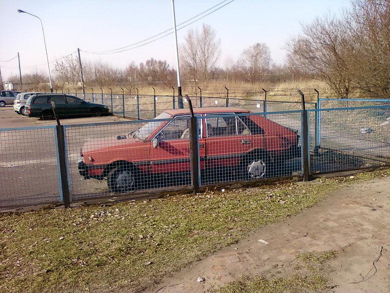 Dogorywający Borewicz
