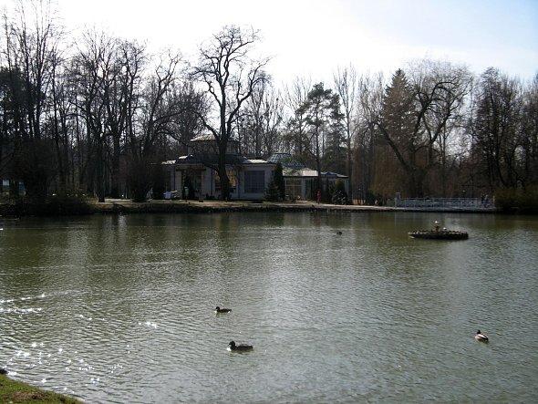 Jezioro w parku