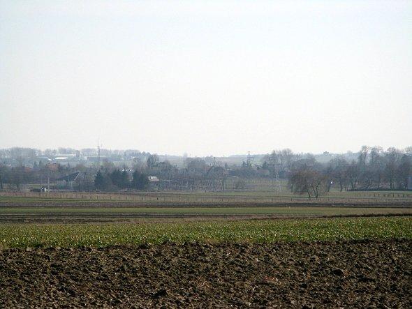 Widok na pola koło Bełżyc