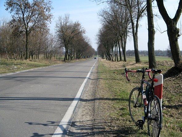 Droga w kierunku Bełżyc