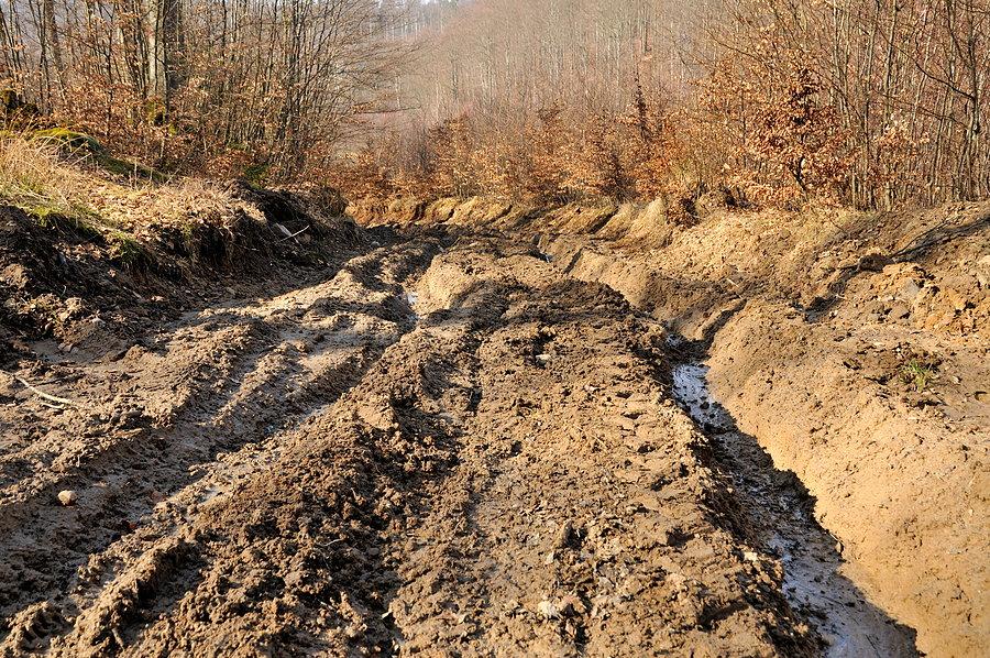 Tak wygląda teraz droga do Jeziora Przywidzkiego