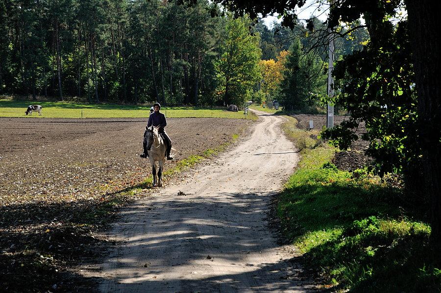 Wracamy do stajni