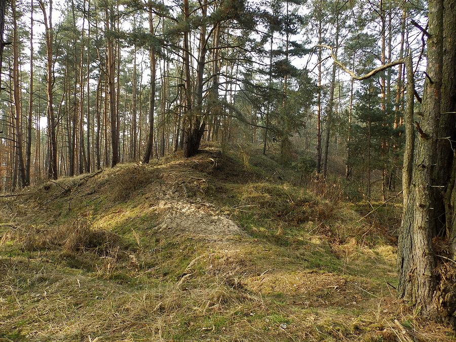 Mrozowska Górka