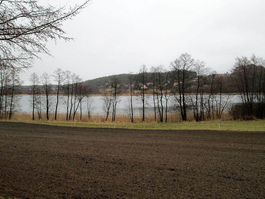 W drodze powrotnej