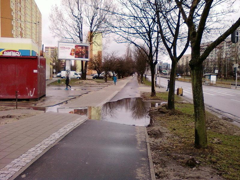 Fuszerka na Rydza-Śmigłego