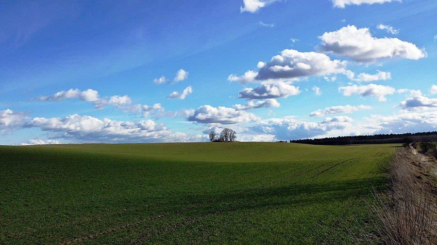 Krajobraz za Małżewem