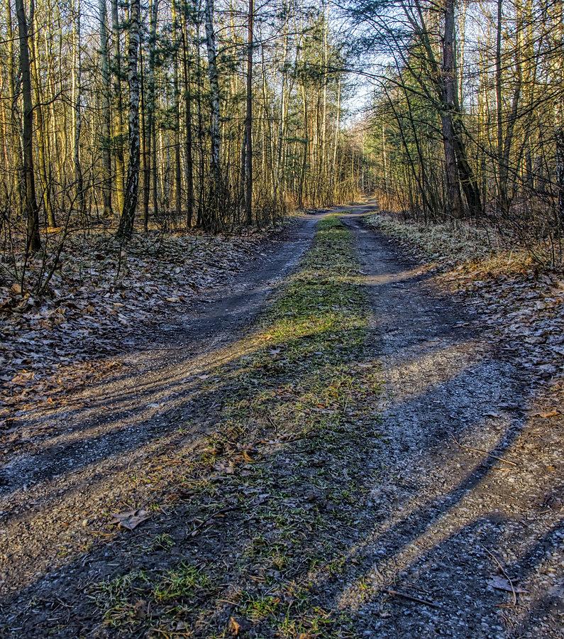 Kawałek w lesie