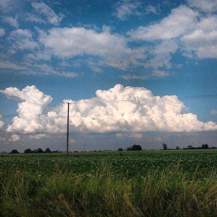 Charłupia Wielka (Czerwiec)