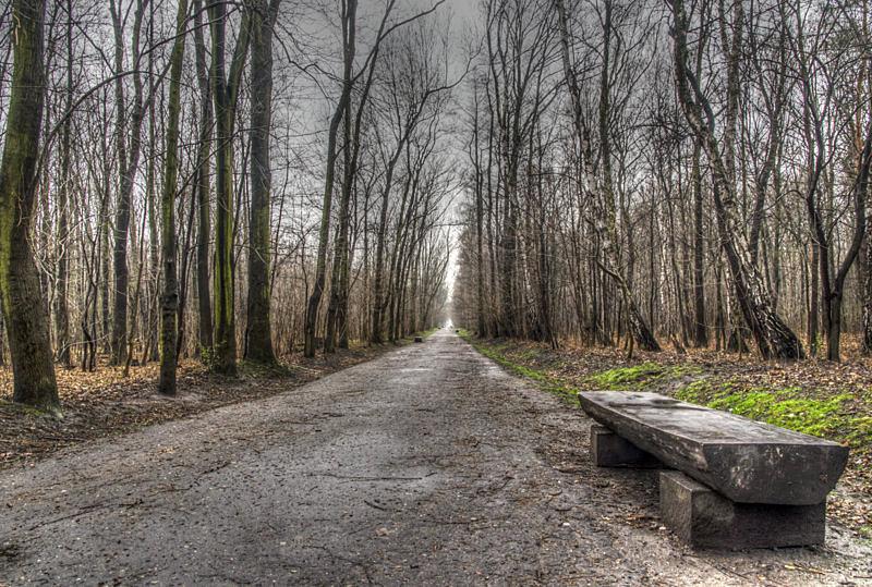 Wjazd do Lasku Makoszowskiego