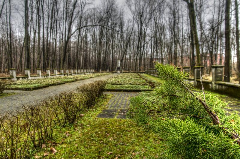 Mogiły poległych żołnierzy