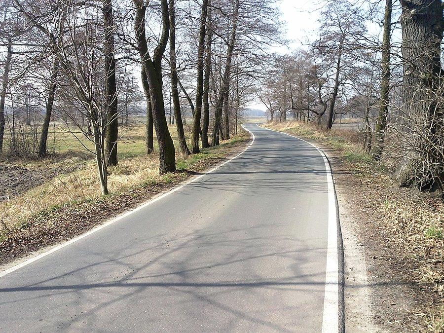 Bojszowy - droga do Świerczyńca