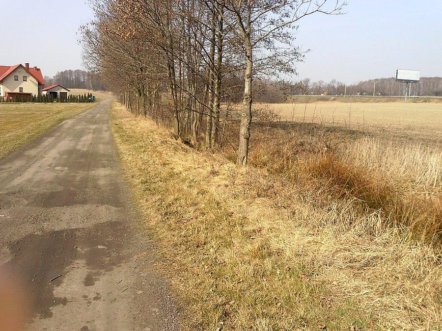 Dojazd do drogi nr 44 do Mikołowa