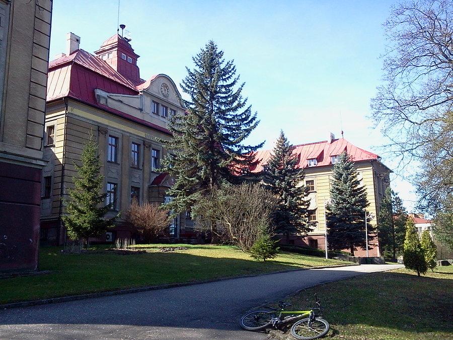 Uniwersytet Śląski