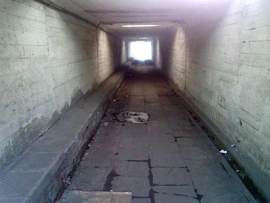 Tunel po torowiskiem w Zabrzegu