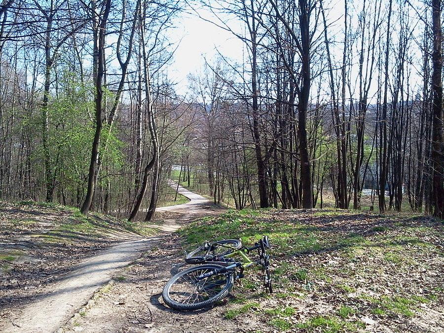 Cieszyn Liburnia
