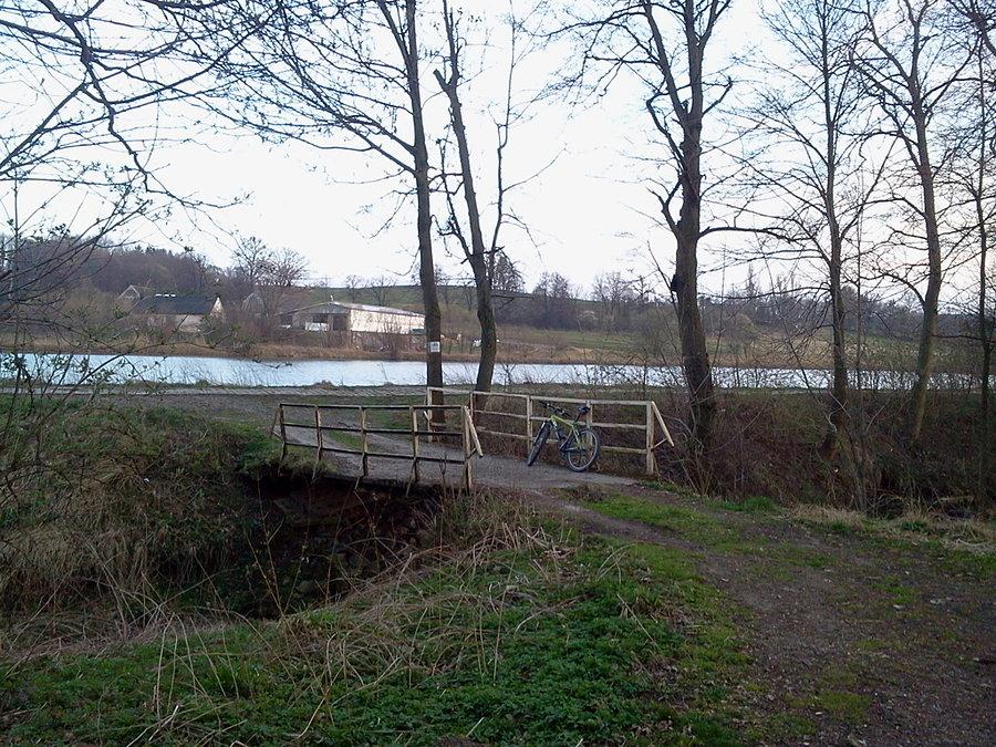 Stawy w Kostkowicach
