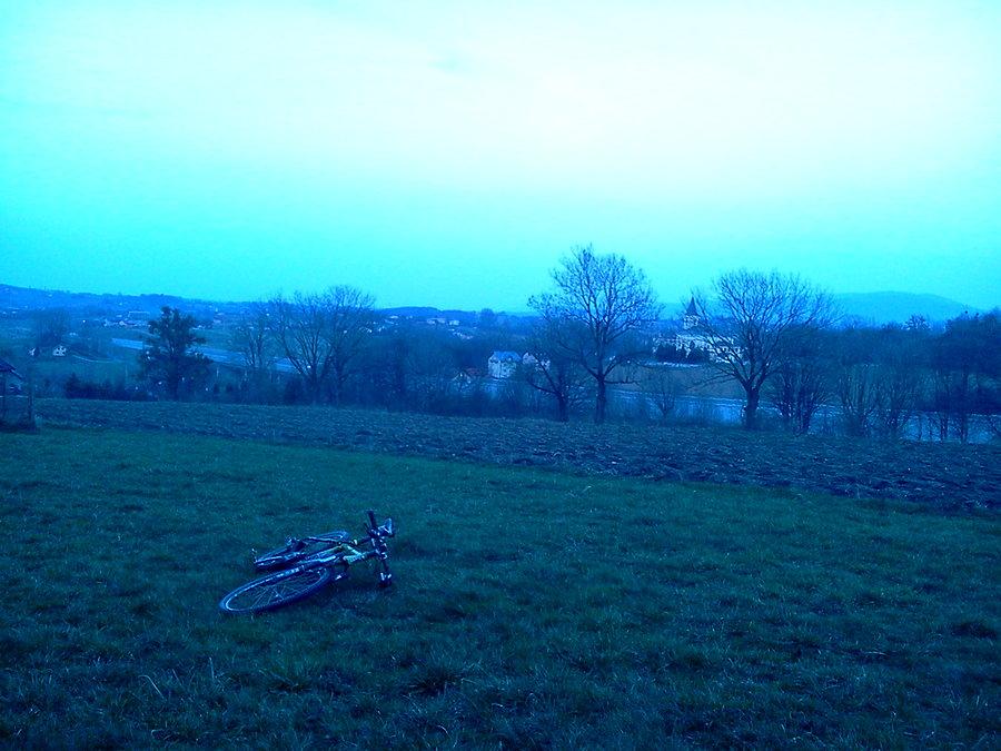 Ogrodzona