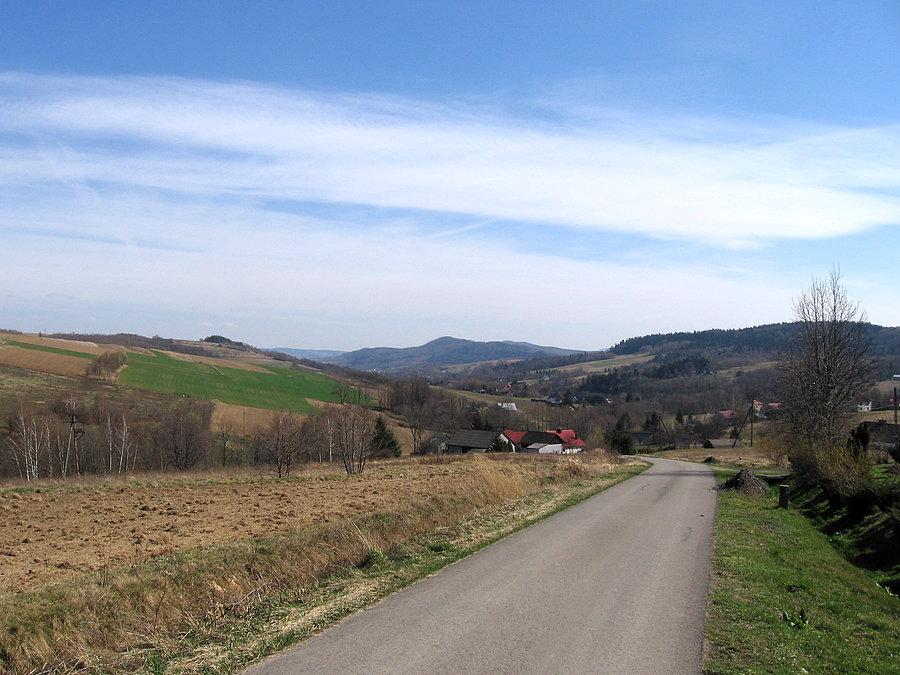 Fragment Pasma Jazowej