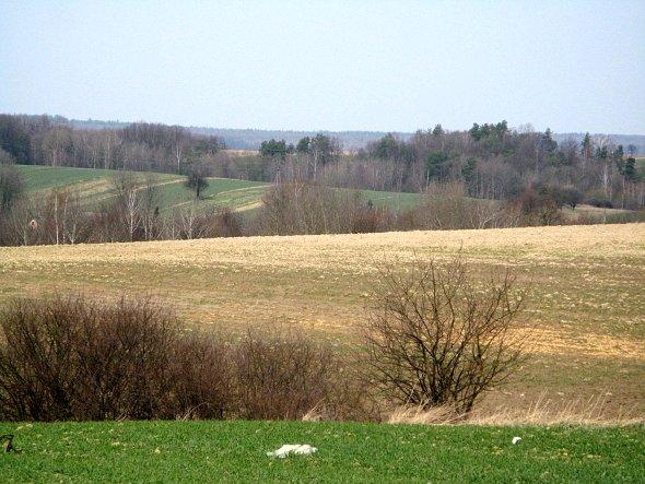 Pola koło Krzczonowa