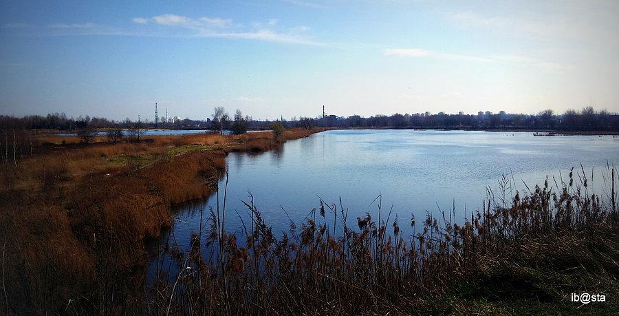 Staw Gliniok; Szopienice - Borki