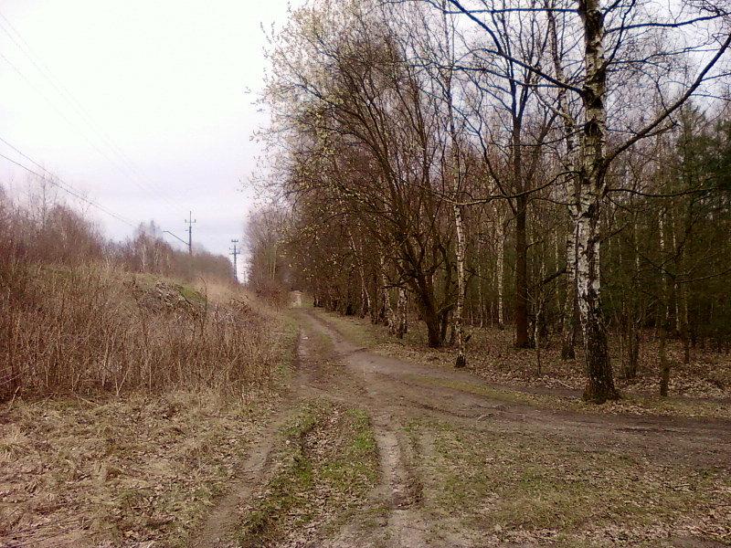 Droga wzdłuż torów kolejowych w Zgierzu