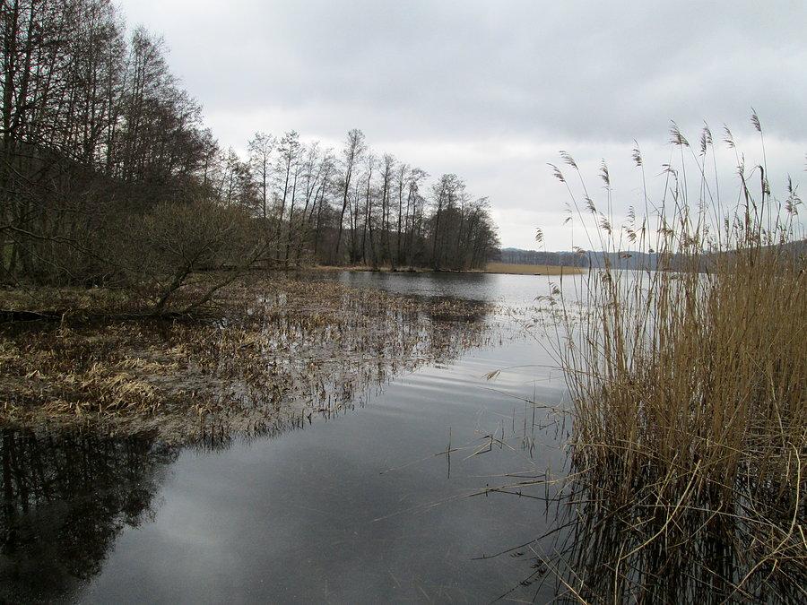 W okolicach Ręboszewa