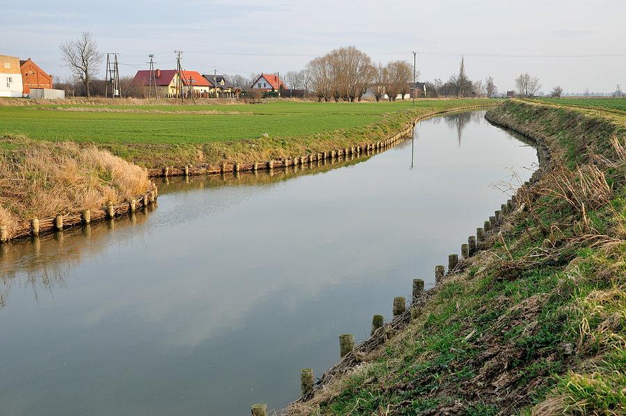 Motława na wysokości Suchego Dębu