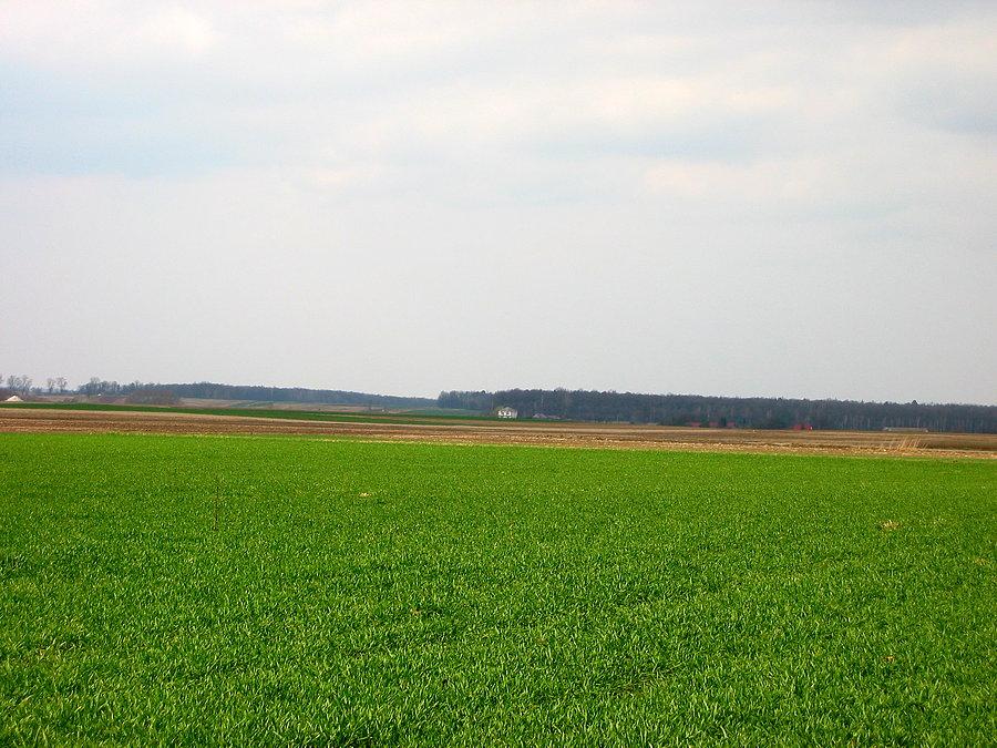 Zielona Lubelszczyzna