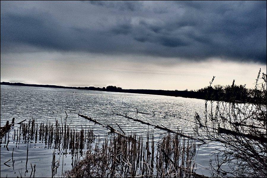 Dolina Baryczy wczesną wiosną