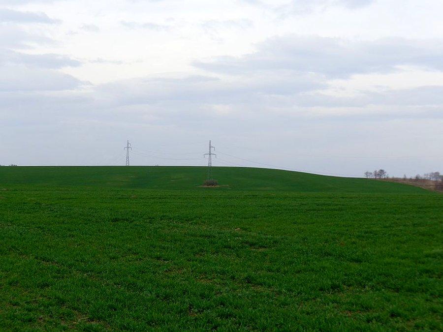 Pole golfowe