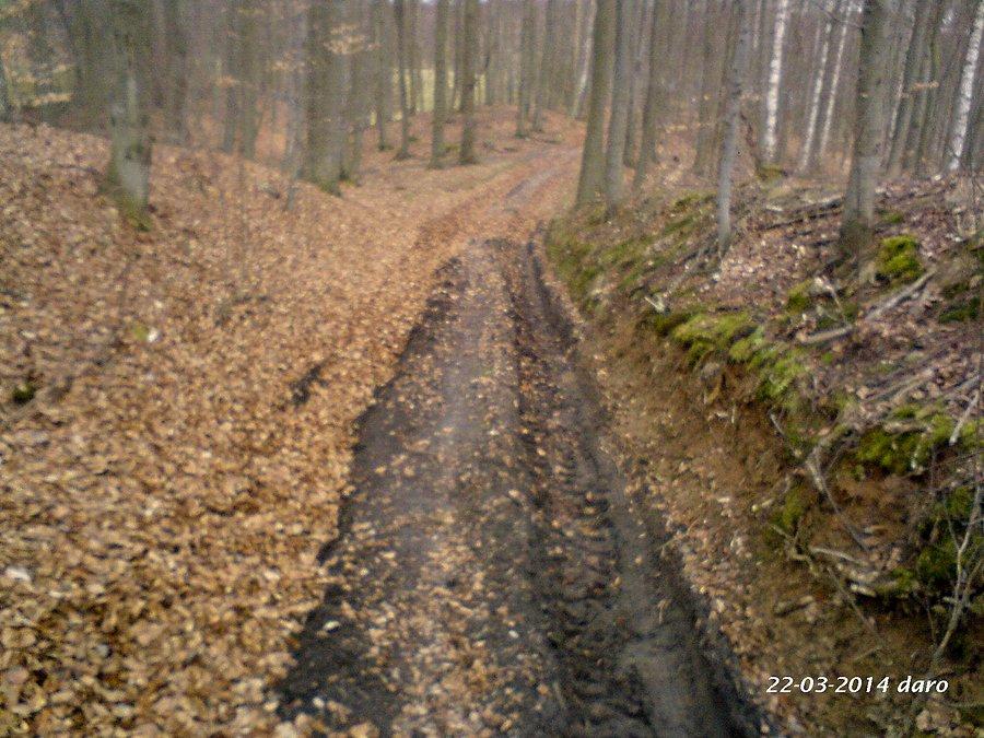 22-03-2014. Gdzieś w lesie, tego dnia mieliśmy sporo jazdy w terenie