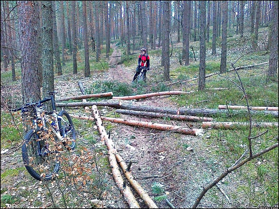GUpia wycinka drzew, co to przeszkadza w zjeździe
