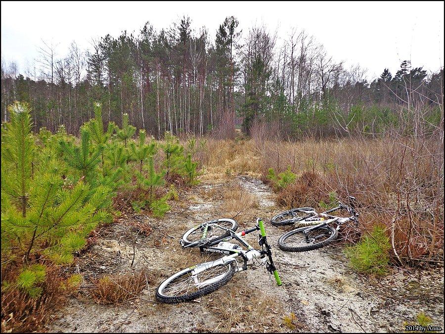 Rowerki odpoczywają