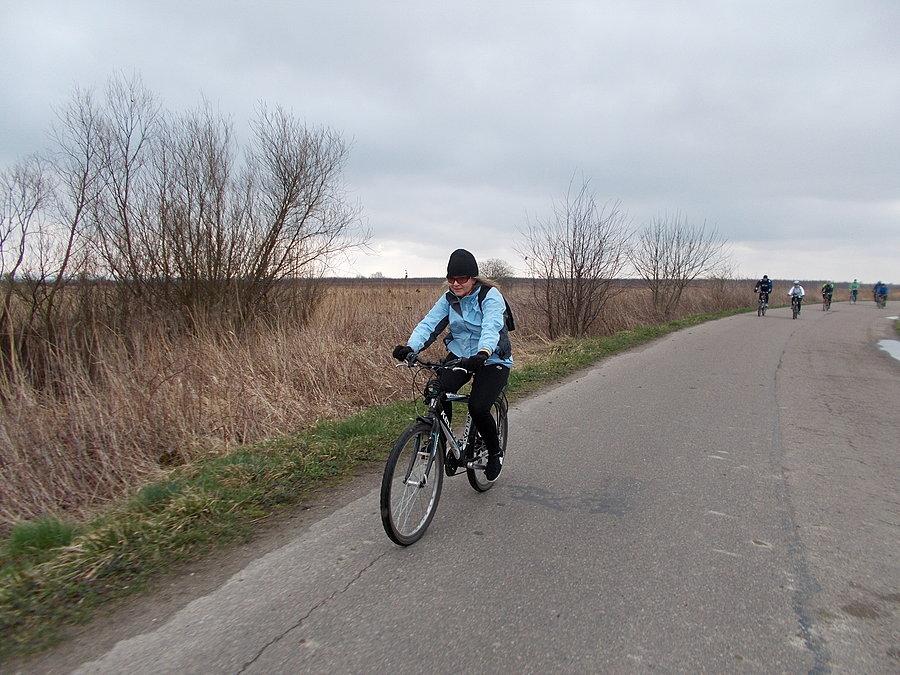Rowerowa Stegna 2014
