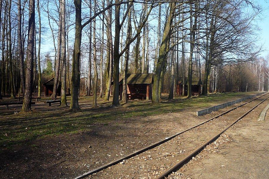 Runów przystanek na trasie kolejki wąskotorowej Piaseczno Tarczyn
