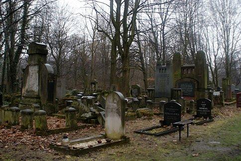 Macewy