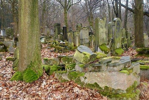 Na terenie cmentarza żydowskiego