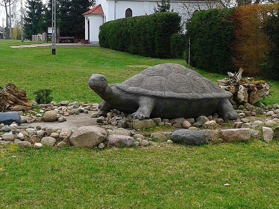 Żółwia Błoć