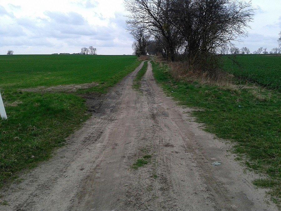 Szlak do Marszewa