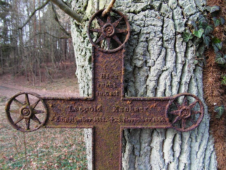 Stary cmentarz za grobowcem rodziny Palleske w Szpęgawsku