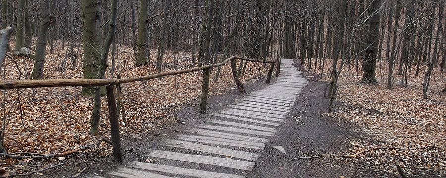 Kuszące schody (zjechałbym) do obeliska