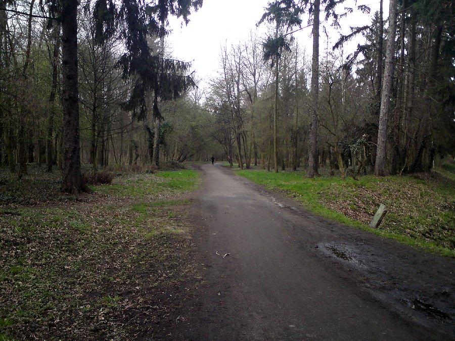 Park Grabiszyński