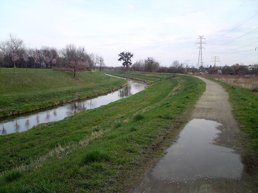 Nad Ślęzą na wale